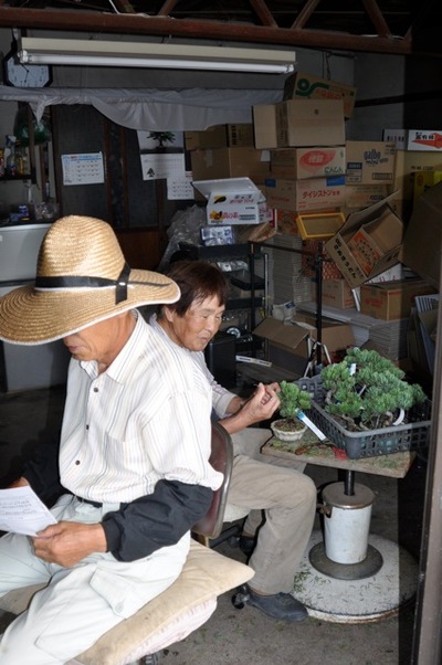 BONSAI EVENT IN TAKAMATSU