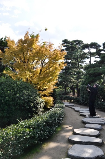 THE 11th ASIA-PACIFIC BONSAI and SUISEKI in TAMAMO PARK