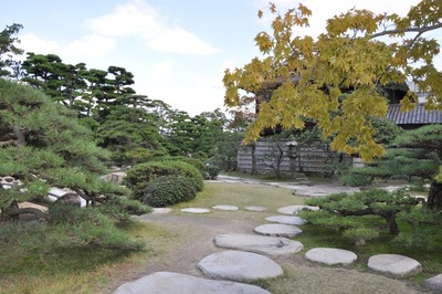 THE 11th ASIA-PACIFIC BONSAI and SUISEKI in TAMAMO PARK