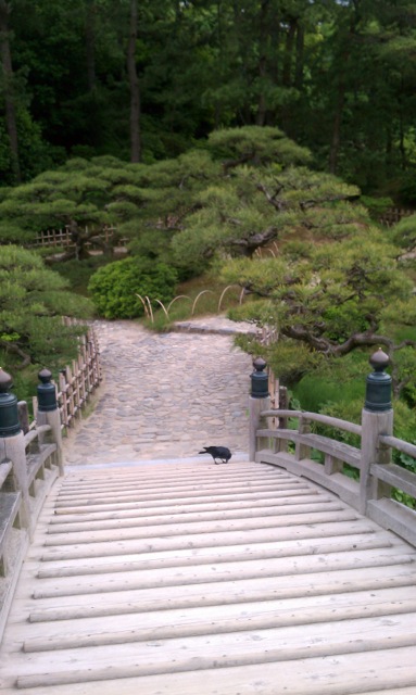 RITSURIN, IRISES & a  CLOSER VIEW