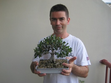 BONSAI ARTIST & MAINTENANCE