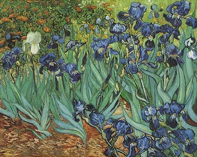 RITSURIN, IRISES & a  CLOSER VIEW