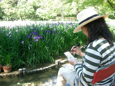 RITSURIN, IRISES & a  CLOSER VIEW