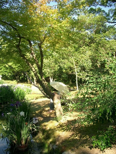 RITSURIN, IRISES & a  CLOSER VIEW