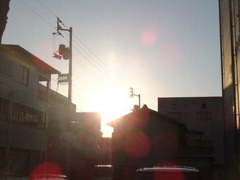 久々の朝日