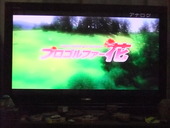 今夜もドラマ三昧