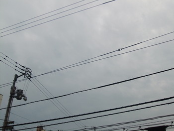 気がついたら・・・・朝。