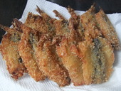 釣った魚を肴に