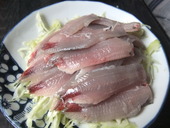 釣った魚を肴に