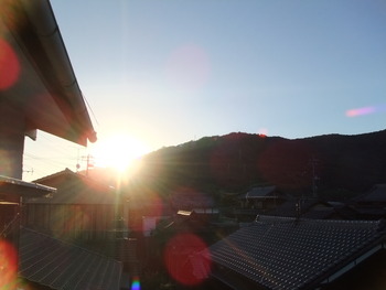 島の朝は早いっす。