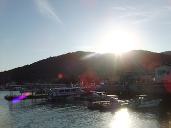 今朝も、いいお天気