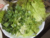 晩ごはぁ～ん