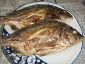 本日のお昼は