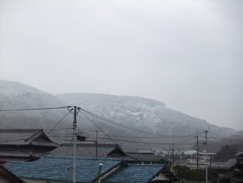 今朝も雪