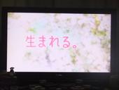 今夜のドラマ