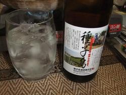 今夜も、南の島へ