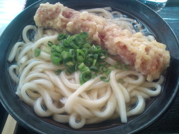 本日のお昼うどん