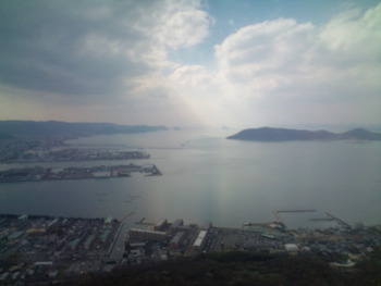 お花見やってます。