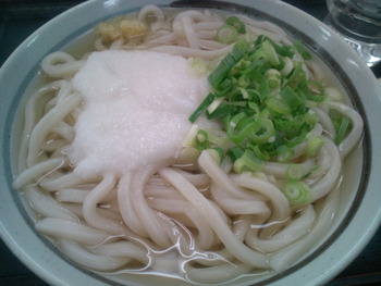 山いもかけうどん