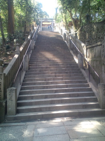 これさえ上がれば