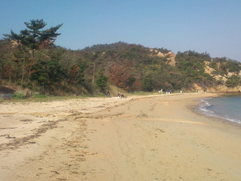海岸清掃