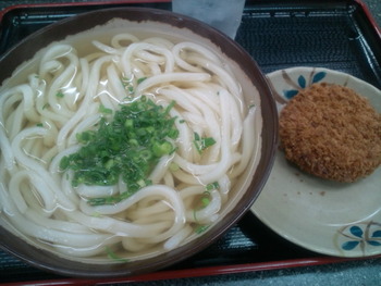 本日のお昼うどんは