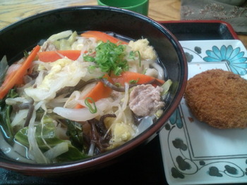 五目野菜うどん