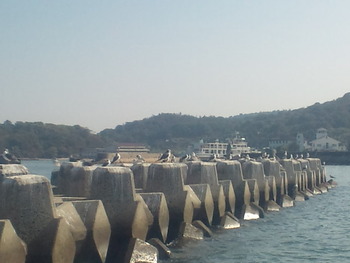 釣り日和