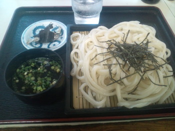 本日のお昼うどん