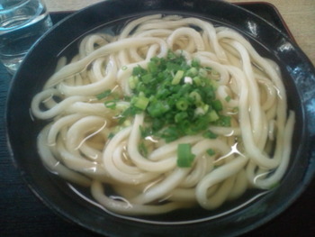 本日のお昼うどん