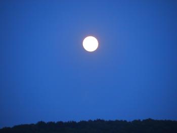今夜は満月