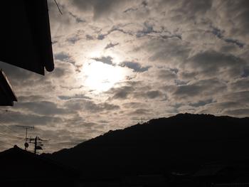 今日も暑そう