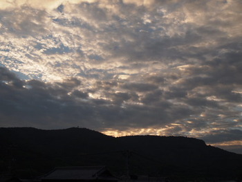 島の朝は、