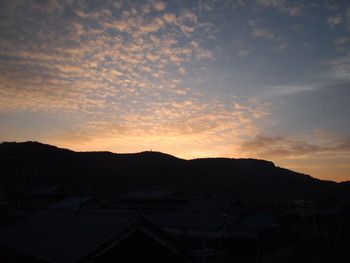 島の朝