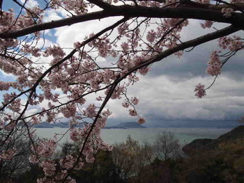 豊島お花見弾丸ドライブ開始
