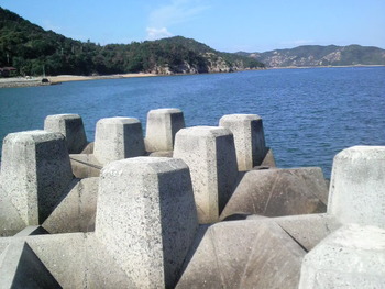 今日も上陸