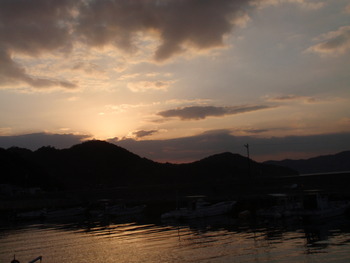 散歩中の風景