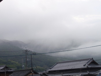 今日は、