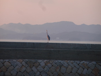島からの夕日