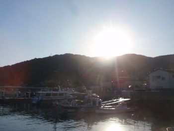 島の朝