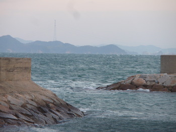 今朝は、寒い