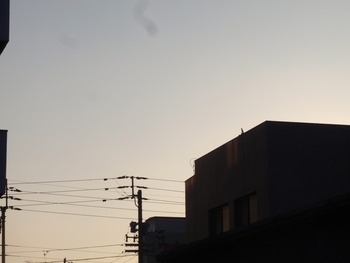 出かけるかな
