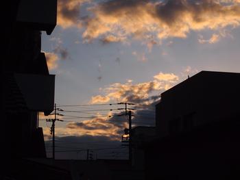 新しい朝がきた。。