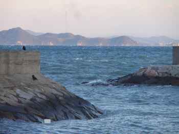 島の朝
