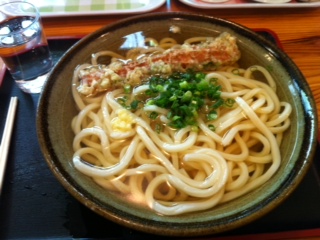 本日のお昼うどん