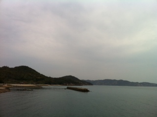 夕方も曇り