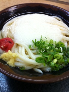 本日のお昼うどん
