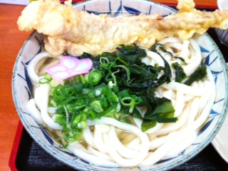 本日のお昼うどん