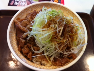 本日は牛丼