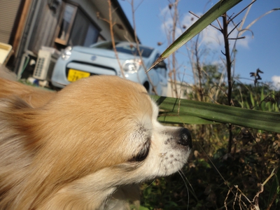 近すぎ？(≧∇≦)
